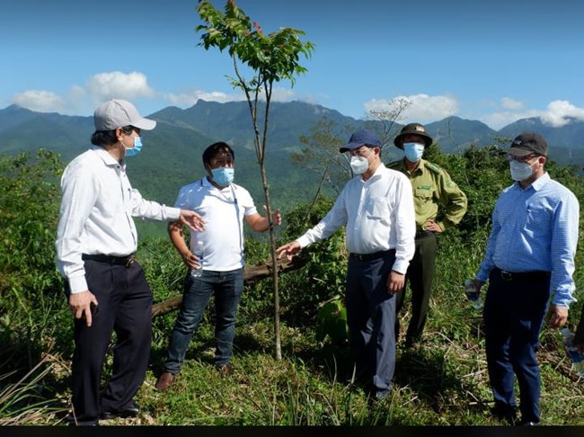 Hiệu quả giao khoán rừng, đất rừng cho người Cơ Tu quản lý (22/9/2022)